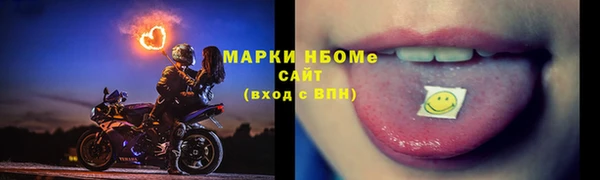 хмурый Осинники