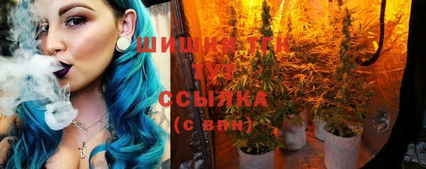 мескалин Няндома